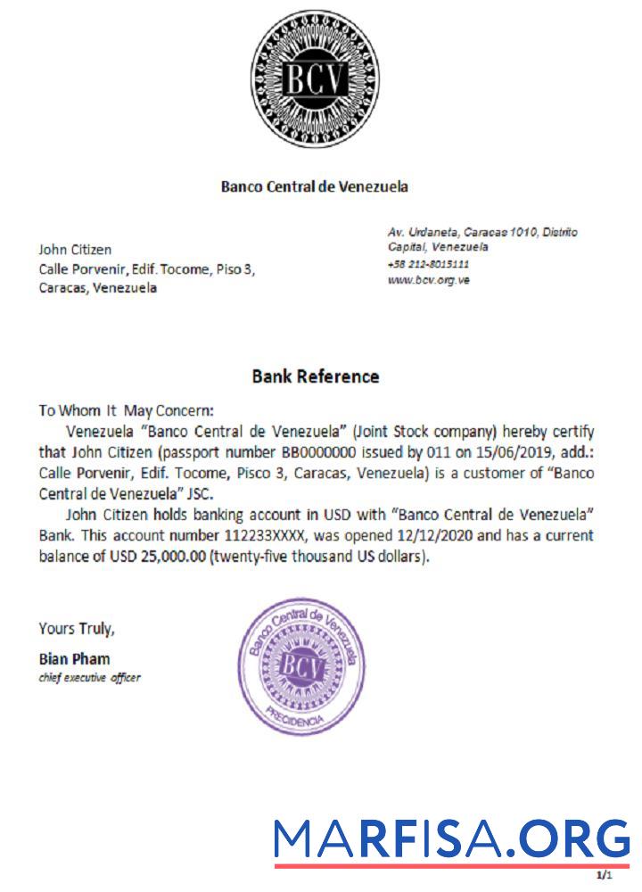 Realistic Venezuela Banco Central de Venezuela reference download for verification